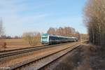 223 063 mit dem ALX84115 Hof - München bei Schönfeld kurz vor Wiesau.