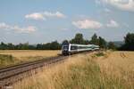 223 081 mit dem ALX RE2 79861 München - Hof bei Unterthölau.