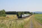 223 081 mit dem ALX  RE 79862 Hof - München bei Neudes.