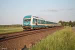 223 072  Griaß di Allgäu  mit dem RE3 ALX79863 München - Hof bei Oberteich.