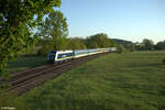 223 081 als RE3 79864 Hof - München Rothenstadt bei Weiden.