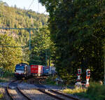 Die SIEMENS Vectron MS X4E – 664 / 193 664-0 (91 80 6193 664-0 D-DISPO) der BRCE - Beacon Rail Capital Europe (München) fährt am 17 September 2024 mit einem KLV-Zug durch den Bahnhof