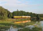 233 493-6 überführt 2 Bauwagen aus München kurz vor Wiesau in Richtung Osten. 28.07.16