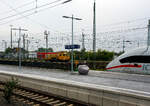Der Plasser & Theurer Motorturmwagen MTW 100 – 99 80 9 436 010-9 D-DBBBG (MTW 003) fährt am 21 April 2026 durch den Hauptbahnhof Dortmund. 

Der Motorturmwagen wurde 2004 von Plasser & Theurer in Linz/Donau (A) unter der Maschinennummer 878 gebaut und an die DB Bahnbau Gruppe GmbH geliefert.

Der MTW 100 ist ein vierachsiges, dieselhydraulisch angetriebenes Gleisarbeitsfahrzeug. Durch seinen hohen Ausstattungsgrad, seine hochwertigen Fahreigenschaften und seine Zuverlässigkeit bietet es vielseitige Einsatzmöglichkeiten bei der Montage, Instandhaltung und Wartung von Fahrleitungsanlagen. Die Ausrüstung des MTW mit Traktionssteuerung ermöglicht mehrere Fahrzeuge über einen Führerstand zu steuern, um große Anhängelasten zu transportieren. Die PALFINGER Teleskoparbeitsbühne (Hubarbeitsbühne) vom Typ PA 120 ist universell einsetzbar. Für Arbeiten in Tunneln ist der MTW mit einem Rußpartikelfilter zur Reduzierung der Dieselrußemission ausgerüstet. Anschlüsse für elektrische und pneumatische Werkzeuge sind auf der Bühne vorhanden.
