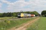 ES64 F4 203 zieht einen Containerzug bei der Stromkreistrennstelle Bischofsheim. 22.05.15