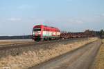 223 031 zieht ein leeren Holztransportzug bei Oberteich in Richtung Marktredwitz.