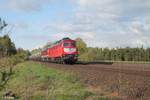 232 673-4 und 132 109-0 der LEG Leipziger Eisenbahnverkehrsgesellschaft auf den Weg nach Sand, hier kurz vor Wiesau/Oberpfalz.