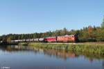 232 418 und 232 068 ziehen ein Kesselzug von Bitterfeld nach Neustadt a.d.