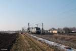 ES 64 F4 287  Rotterdam - Bayern - Express  zieht ein Wechselpritschen LKW-Walter bei Moosham.