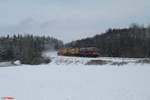 218 155 überführt ein Speno nach Passau als sie bei Oberteich durch rollt.