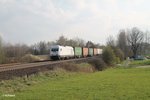 223 143 rollt langsam mit dem Wiesau Containerzug nach Hamburg kurz hinter Wiesau und erreicht gleich den BÜ Schönfeld.