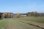 223 143 zieht den Wiesau Containerzug bei Oberteich.