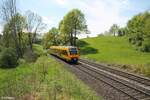 1641 703 kurz vor Reuth bei Erbendorf als RB23 79726 Regensburg - Marktredwitz.