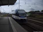 OLA VT 0010 aus Stralsund Hbf bei der Einfahrt in den Bahnhof Neustrelitz Hbf am 7.10.13 