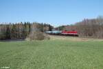 204 354 und 204 271 mit dem Hauer Kesselzug bei Oberteich. 17.04.22