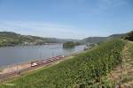 Eine Vias kurz hinter Lorch am Rhein auf dem Weg nach Frankfuret/Main.