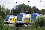 3x metronom Steuerwagen am 23.08.2011 in Tostedt.