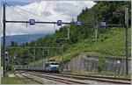 Die SNCF BB 22 394 erreicht mit ihre TER La Plaine.