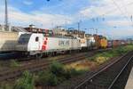 Lineas 186 384 schleppt am 19 Mai 2022 ein KLV durch K�ln West.