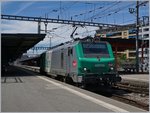 Die SNCF BB 37 059 in Gen�ve.