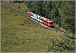 Der TMR BDeh 4/8 21 ist als SNCF TER von St-Gervais nach Vallorcine unterwegs und nun zwischen Le Buet und Vallorcine schon fast am Ziel seiner Fahrt.

1. August 2022