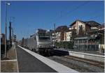 Die  akiem  BB 37028 und eine weitere fahren mit einem langen EVIAN (Mineralwasser)-Güterzug durch den Bahnhof vom Thonon.