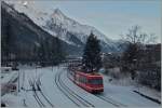 Zwei  Stadler-Triebzüge  verlasen den Bahnhof von Chamonix Mont Blanc als TER 18909 Richtung Vallorcine.