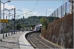Nur die Nase des TGV Lyria ist in Bellgarde zu sehen - der TGV ist auf der Fahrt von Lausanne nach Paris Gare de Lyon.

26. Aug. 2024