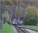 Der SSIF ABe 8/8 21  ROMA  (UIC 94 83 4880 021-0 I-SSIF) erreicht als PE72 69 bzw.