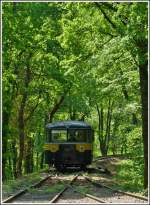 - Ein Uerdinger im Wald - Der Triebwagen 551 669 (ex Chemin de Fer des 3 Valles, ex DB VT95 669) erreicht am 01.05.2011 die Kreuzungsstelle Fuussbsch der Museumsstrecke Train 1900.