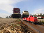 Meine Kleinen V100 Ost Maschienen 204 671 und 203 843 mit ihrer Gro�en Schwestermaschiene 202 466 und daneben die 218 472 von Power Rail im Magdeburger Wissenschaftshafen am 10.9.17