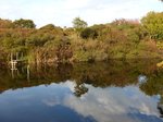 Dne bei Katwijk 30-10-2016.

Duinen bij Katwijk 30-10-2016.