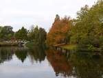 Zoeterwoudse Singel Herbstfarben.