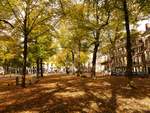 Herbstfarben Lange Voorhout, Den Haag 07-10-2018.

Herfstkleuren Lange Voorhout, Den Haag 07-10-2018.