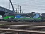 ELL/WLC 193 213  von Wien �berall hin  abgestellt in Hamburg-Altenwerder am Hafenbahnhof Alte S�derelbe am 01.05.2019