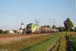 1016 016 CAT mit einem Güterzug aus Linz in den Ruhrpott bei Moosham.