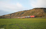 1016 013-5 mit ein Autotransportzug bei Thngersheim.