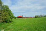 1116 075-1 mit einen Ewals Cargo Carre Wechselpritschenzug bei Pölling. 28.04.24