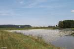 277 005 zieht den leeren Holzzug Wiesau - Cheb bei Oberteich.