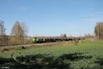 G1700.03 mit dem Rundholzug aus Cheb nach Nürnberg Rangierbahnhof zwischen Schirnding und Arzberg bei Oschwitz.