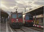 Die SBB Re 4/4 II 11248 (Re420 248-7) und ein RBDe 560  Domino  in Vevey.