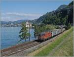 Die SBB Re 4/4 II 11286 (Re 420 287-7) ist vor dem Hintergrund des Schlosses von Chillon bei Villeneuve mit einem Güterzug unterwegs.