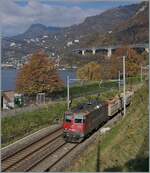 Die SBB Re 4/4 II 11243 (Re 420 243-8 )  Smile  erreicht mit ihrem Güterzug Villeneuve.

14. November 2024