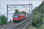 Kurz nach Villeneve in der Nähe des Château de Chillon ist eine SBB Re 460 mit ihrem IR 90 auf der Fahrt von Brig nach Genève Aéroport.