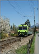 Ein BLS Regionalzug nach Interlaken Ost verl�sst Leissigen.