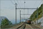 BLS Ae 6/8 208 und SBB Ae 4/7 mit ienem Extrazug zum BLS Jubil�um in Hohtenn.