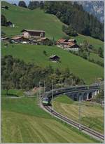 Die BLS Re  4/4 II 501 ist mit ihrem RE bei Garstaat unterwegs.