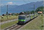 Die BLS Re 4/4 II 504 ist bei Faulensee mit eine EW III RE auf dem Weg nach Interlaken.