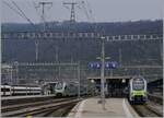 BLS RABe 515  MUTZ  warten als S-Bahn und IR in Biel/Bienne auf die Abfahrt in Richtung Bern.