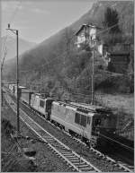 Zwei BLS Re 4/4 streben mit ihrem Güterzug bei Preglia nordwärts.